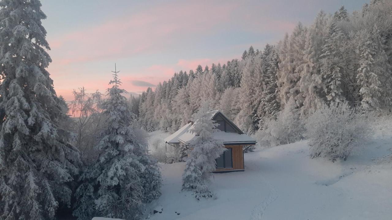 Domki Krynica Villa Exteriör bild