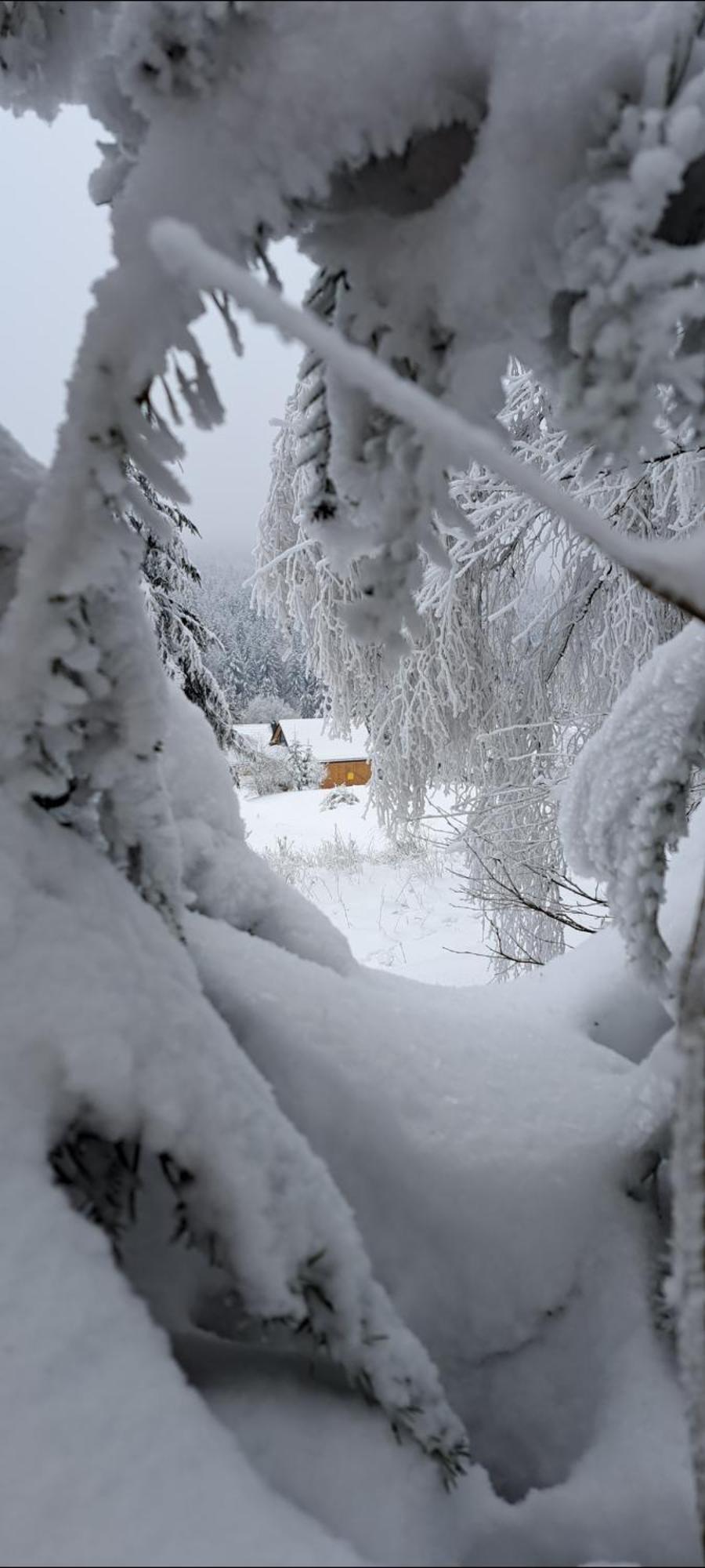 Domki Krynica Villa Exteriör bild